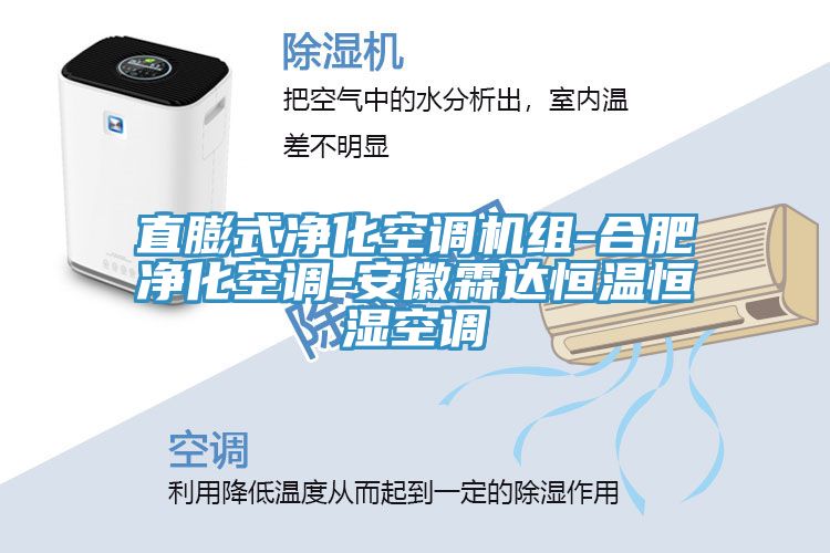 直膨式凈化空調(diào)機組-合肥凈化空調(diào)-安徽霖達恒溫恒濕空調(diào)