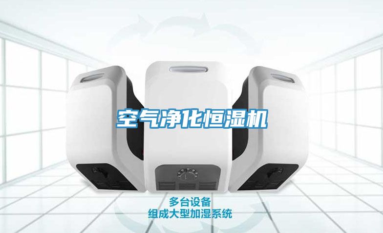 空氣凈化恒濕機(jī)