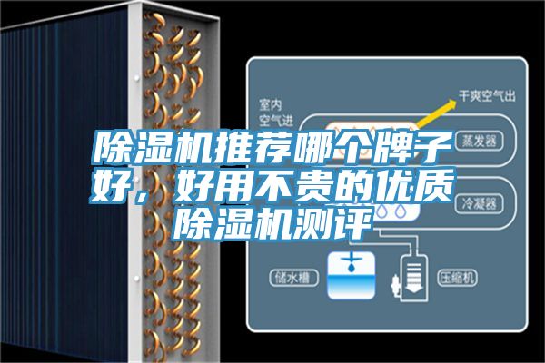 除濕機推薦哪個牌子好，好用不貴的優(yōu)質(zhì)除濕機測評