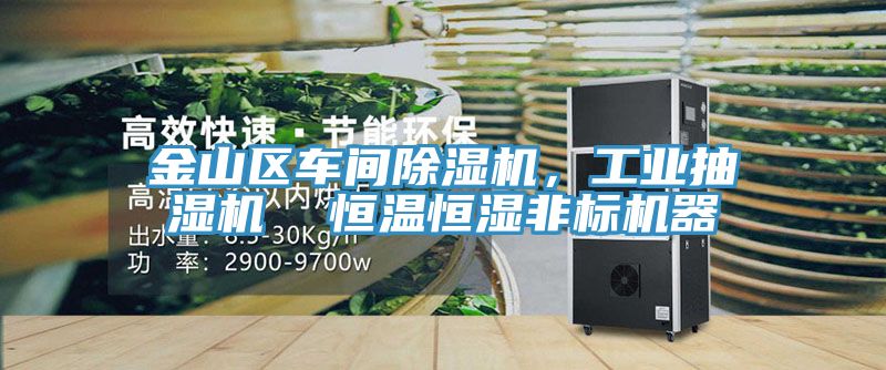 金山區(qū)車間除濕機，工業(yè)抽濕機  恒溫恒濕非標機器