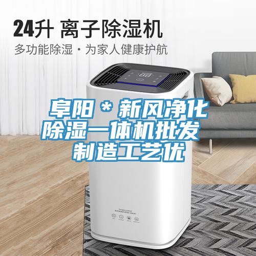 阜陽＊新風(fēng)凈化除濕一體機(jī)批發(fā) 制造工藝優(yōu)