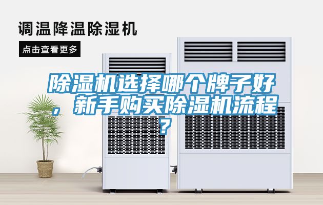 除濕機(jī)選擇哪個(gè)牌子好，新手購(gòu)買(mǎi)除濕機(jī)流程？