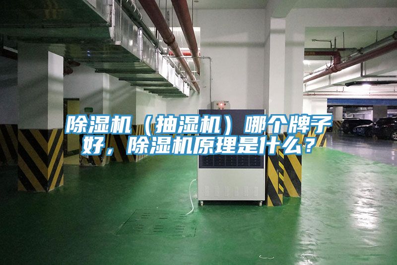 除濕機(jī)（抽濕機(jī)）哪個(gè)牌子好，除濕機(jī)原理是什么？