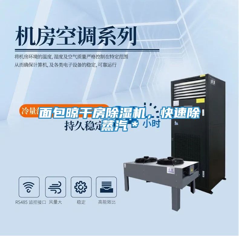 面包晾干房除濕機(jī)，快速除蒸汽＊