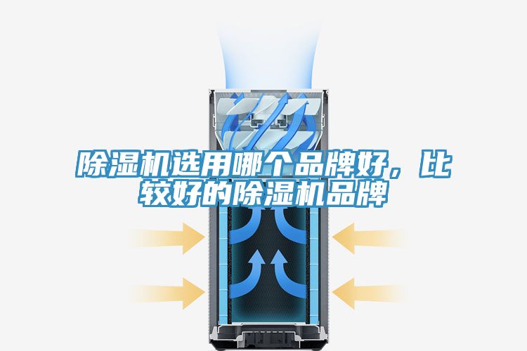 除濕機選用哪個品牌好，比較好的除濕機品牌