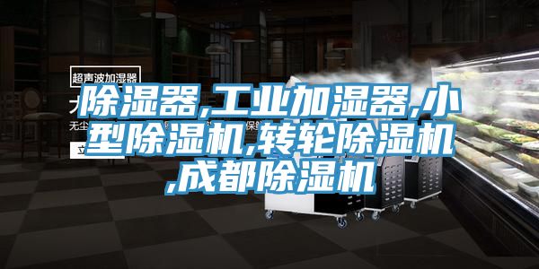 除濕器,工業(yè)加濕器,小型除濕機,轉(zhuǎn)輪除濕機,成都除濕機