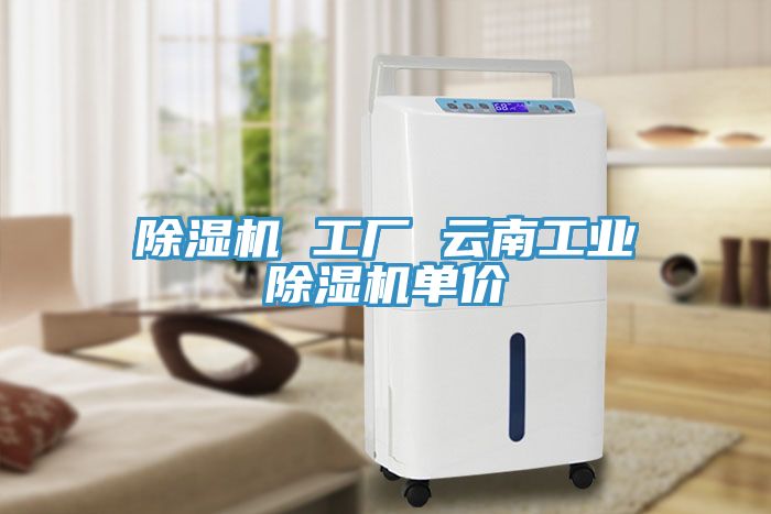 除濕機 工廠 云南工業(yè)除濕機單價