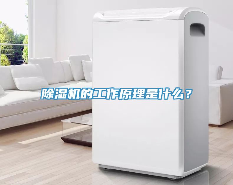 除濕機(jī)的工作原理是什么？