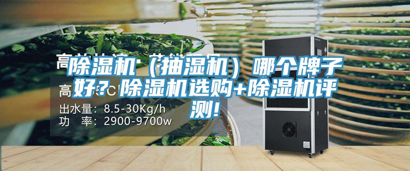 除濕機(jī)（抽濕機(jī)）哪個(gè)牌子好？除濕機(jī)選購+除濕機(jī)評測!