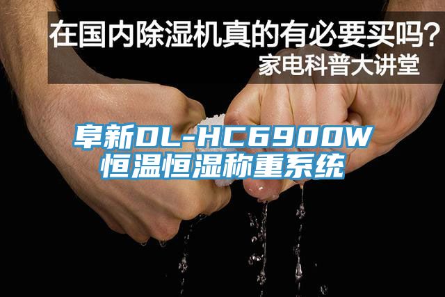 阜新DL-HC6900W恒溫恒濕稱(chēng)重系統(tǒng)