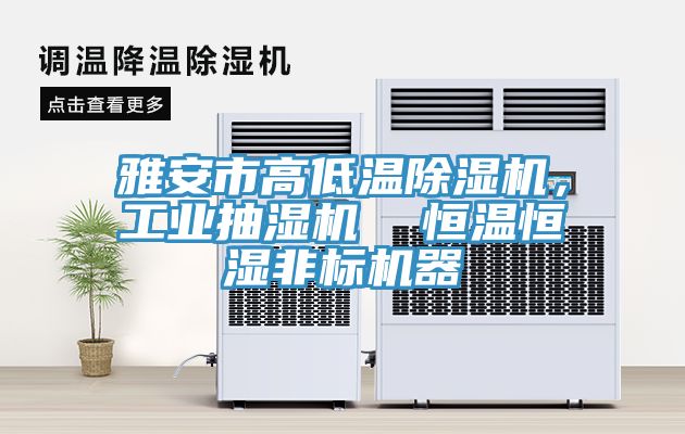 雅安市高低溫除濕機，工業(yè)抽濕機  恒溫恒濕非標(biāo)機器