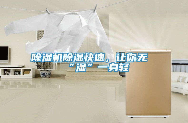 除濕機除濕快速，讓你無“濕”一身輕