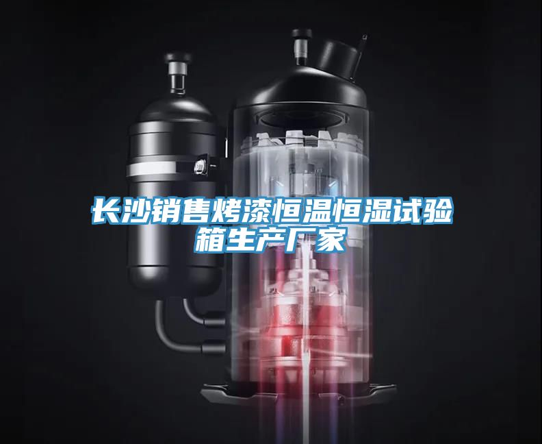 長(zhǎng)沙銷(xiāo)售烤漆恒溫恒濕試驗(yàn)箱生產(chǎn)廠(chǎng)家