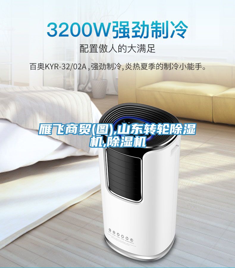 雁飛商貿(mào)(圖),山東轉(zhuǎn)輪除濕機,除濕機