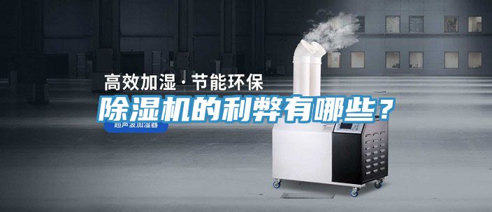 除濕機(jī)的利弊有哪些？