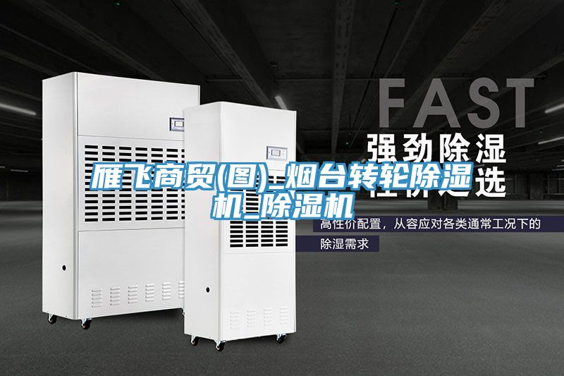 雁飛商貿(mào)(圖)_煙臺轉(zhuǎn)輪除濕機_除濕機