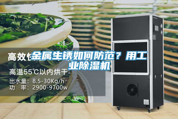 金屬生銹如何防范？用工業(yè)除濕機