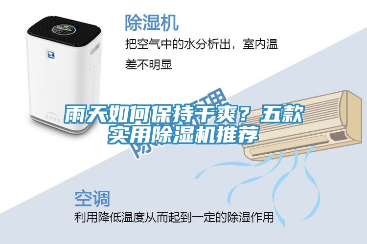 雨天如何保持干爽？五款實用除濕機推薦