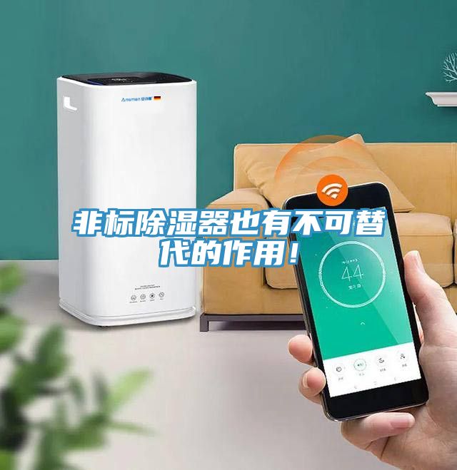 非標(biāo)除濕器也有不可替代的作用！
