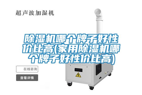 除濕機(jī)哪個(gè)牌子好性價(jià)比高(家用除濕機(jī)哪個(gè)牌子好性價(jià)比高)