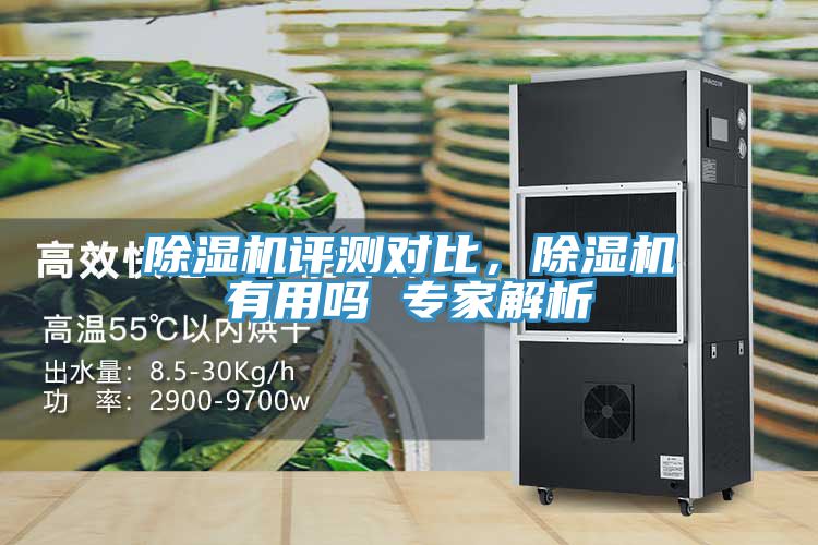 除濕機(jī)評測對比，除濕機(jī)有用嗎 專家解析
