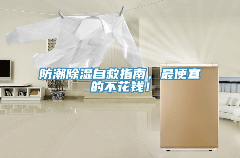 防潮除濕自救指南，最便宜的不花錢！