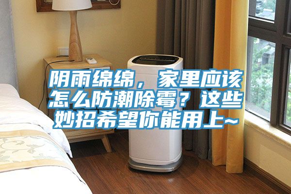 陰雨綿綿，家里應(yīng)該怎么防潮除霉？這些妙招希望你能用上~