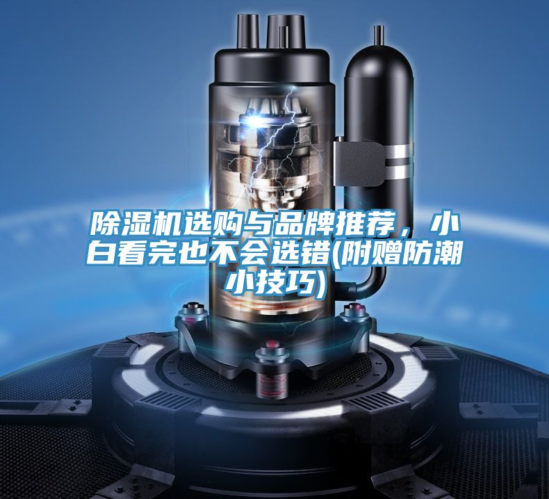 除濕機(jī)選購(gòu)與品牌推薦，小白看完也不會(huì)選錯(cuò)(附贈(zèng)防潮小技巧)