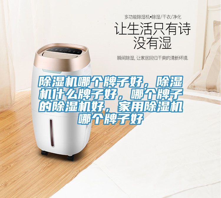 除濕機(jī)哪個(gè)牌子好，除濕機(jī)什么牌子好，哪個(gè)牌子的除濕機(jī)好，家用除濕機(jī)哪個(gè)牌子好