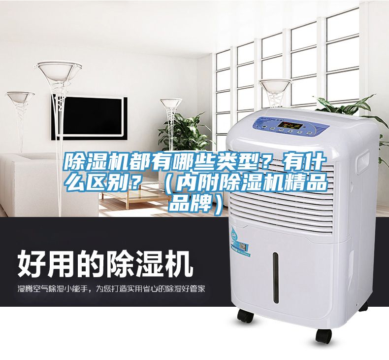除濕機(jī)都有哪些類型？有什么區(qū)別？（內(nèi)附除濕機(jī)精品品牌）