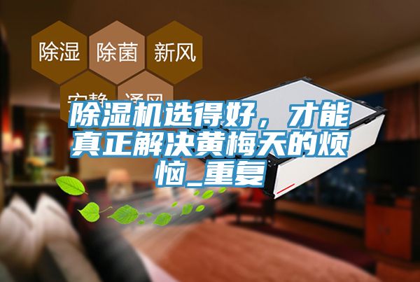 除濕機(jī)選得好，才能真正解決黃梅天的煩惱_重復(fù)