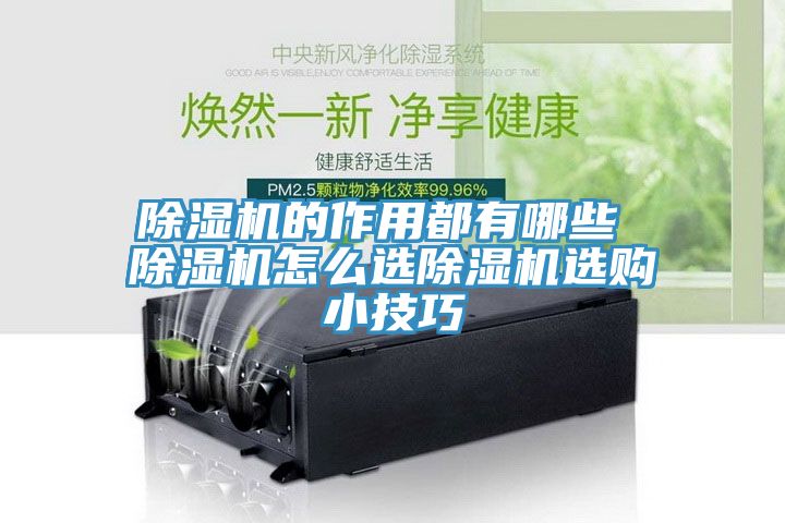 除濕機(jī)的作用都有哪些 除濕機(jī)怎么選除濕機(jī)選購(gòu)小技巧