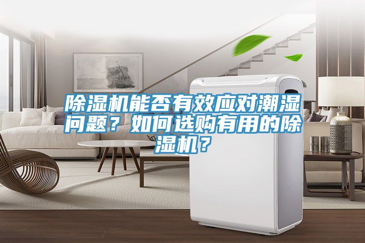 除濕機(jī)能否有效應(yīng)對(duì)潮濕問題？如何選購(gòu)有用的除濕機(jī)？