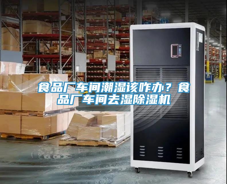 食品廠車間潮濕該咋辦？食品廠車間去濕除濕機(jī)
