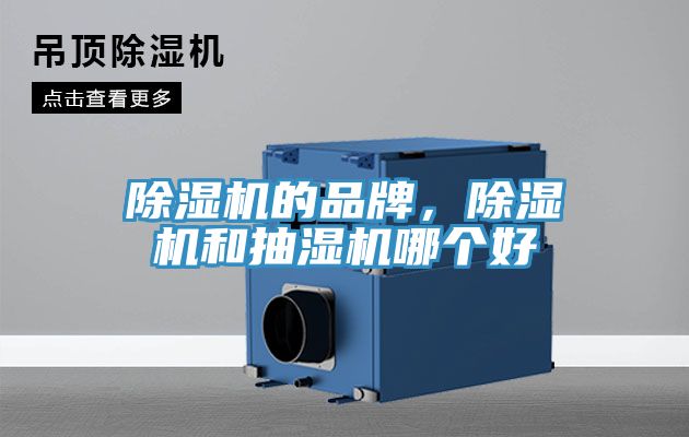 除濕機(jī)的品牌，除濕機(jī)和抽濕機(jī)哪個(gè)好