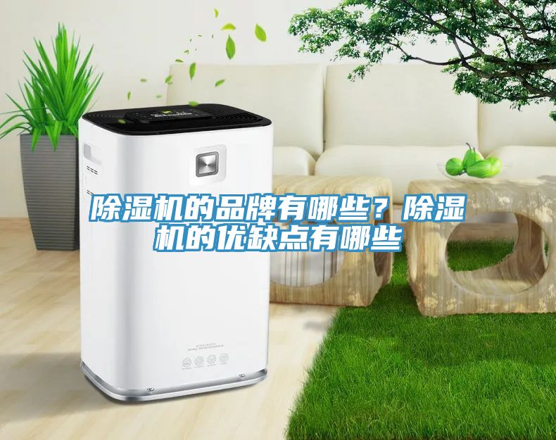 除濕機(jī)的品牌有哪些？除濕機(jī)的優(yōu)缺點(diǎn)有哪些