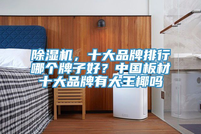 除濕機(jī)，十大品牌排行哪個(gè)牌子好？中國(guó)板材十大品牌有大王椰嗎