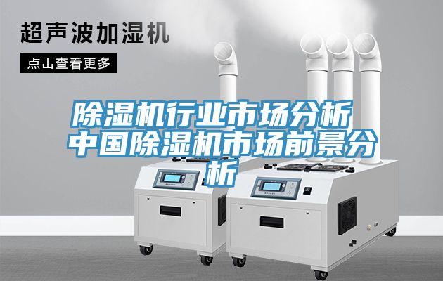 除濕機(jī)行業(yè)市場(chǎng)分析 中國(guó)除濕機(jī)市場(chǎng)前景分析