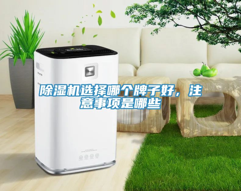 除濕機(jī)選擇哪個(gè)牌子好，注意事項(xiàng)是哪些