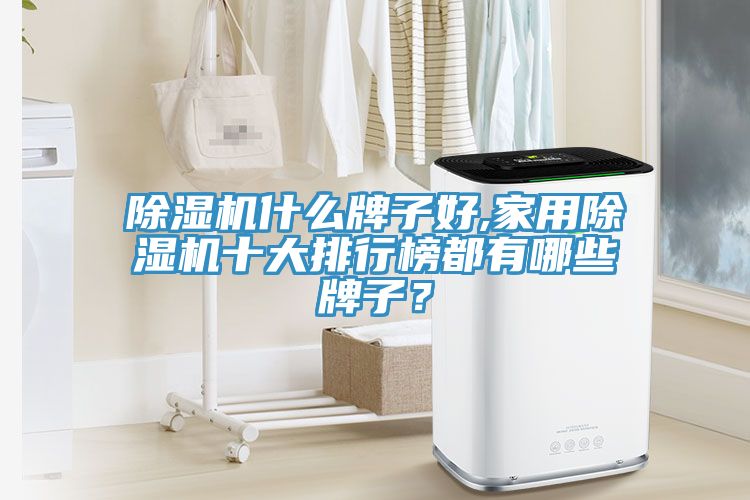 除濕機(jī)什么牌子好,家用除濕機(jī)十大排行榜都有哪些牌子？