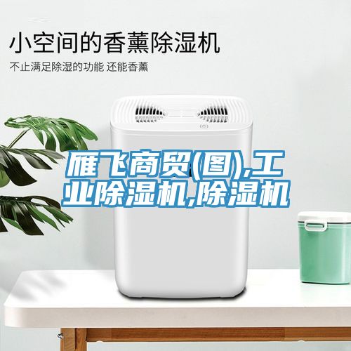 雁飛商貿(mào)(圖),工業(yè)除濕機,除濕機