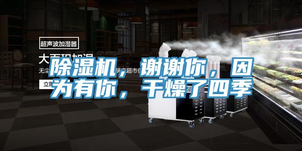 除濕機(jī)，謝謝你，因?yàn)橛心悖稍锪怂募?></div>
								<div   id=