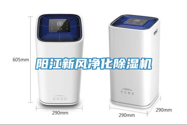 陽(yáng)江新風(fēng)凈化除濕機(jī)