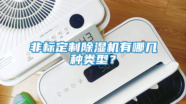 非標(biāo)定制除濕機(jī)有哪幾種類型？