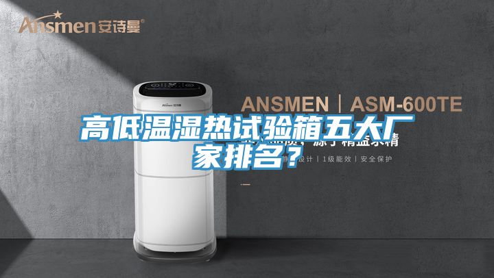 高低溫濕熱試驗箱五大廠家排名？