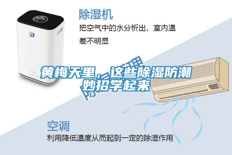黃梅天里，這些除濕防潮妙招學起來