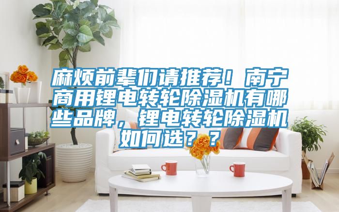 麻煩前輩們請推薦！南寧商用鋰電轉(zhuǎn)輪除濕機有哪些品牌，鋰電轉(zhuǎn)輪除濕機如何選？？
