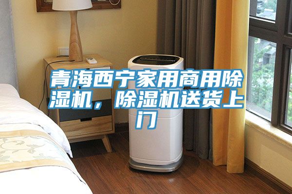 青海西寧家用商用除濕機(jī)，除濕機(jī)送貨上門