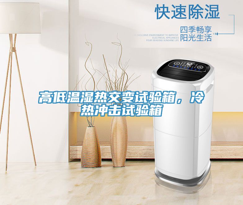 高低溫濕熱交變?cè)囼?yàn)箱，冷熱沖擊試驗(yàn)箱