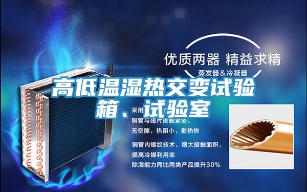 高低溫濕熱交變?cè)囼?yàn)箱、試驗(yàn)室